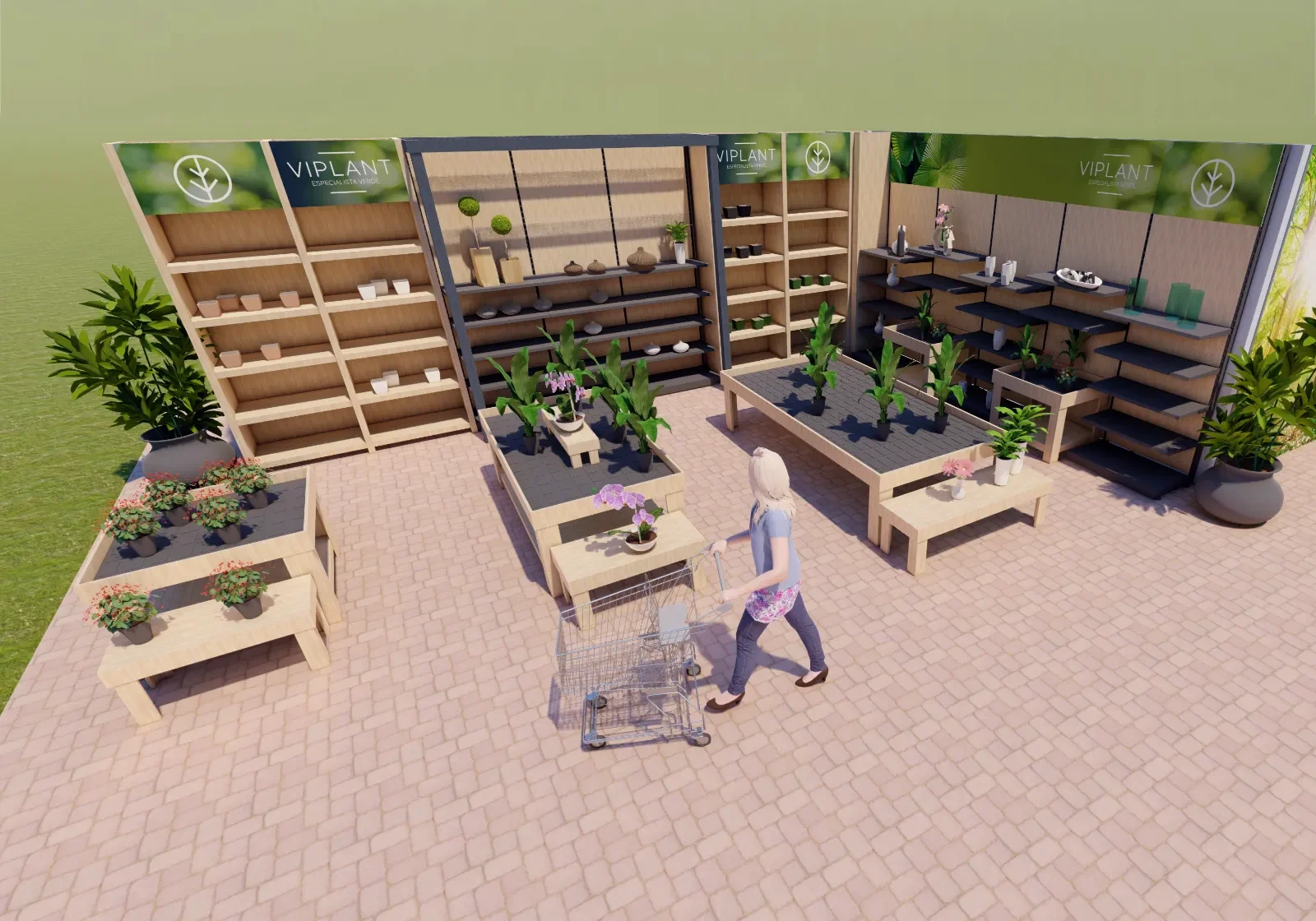 DRC-Augusti-3D DRC-Augusti-3D