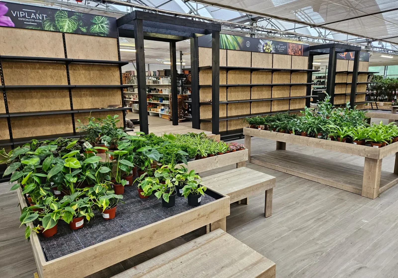 DRC-Viplant-6 DRC-Viplant-6