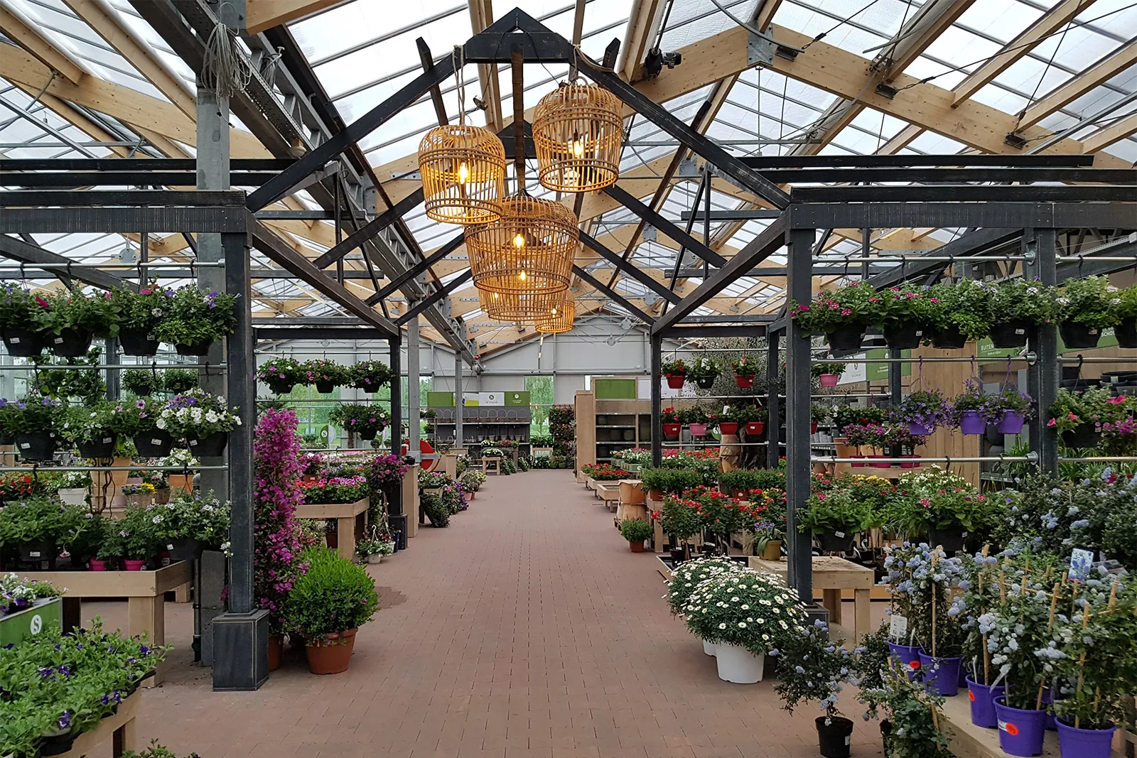 project-houten-4-1600-1067