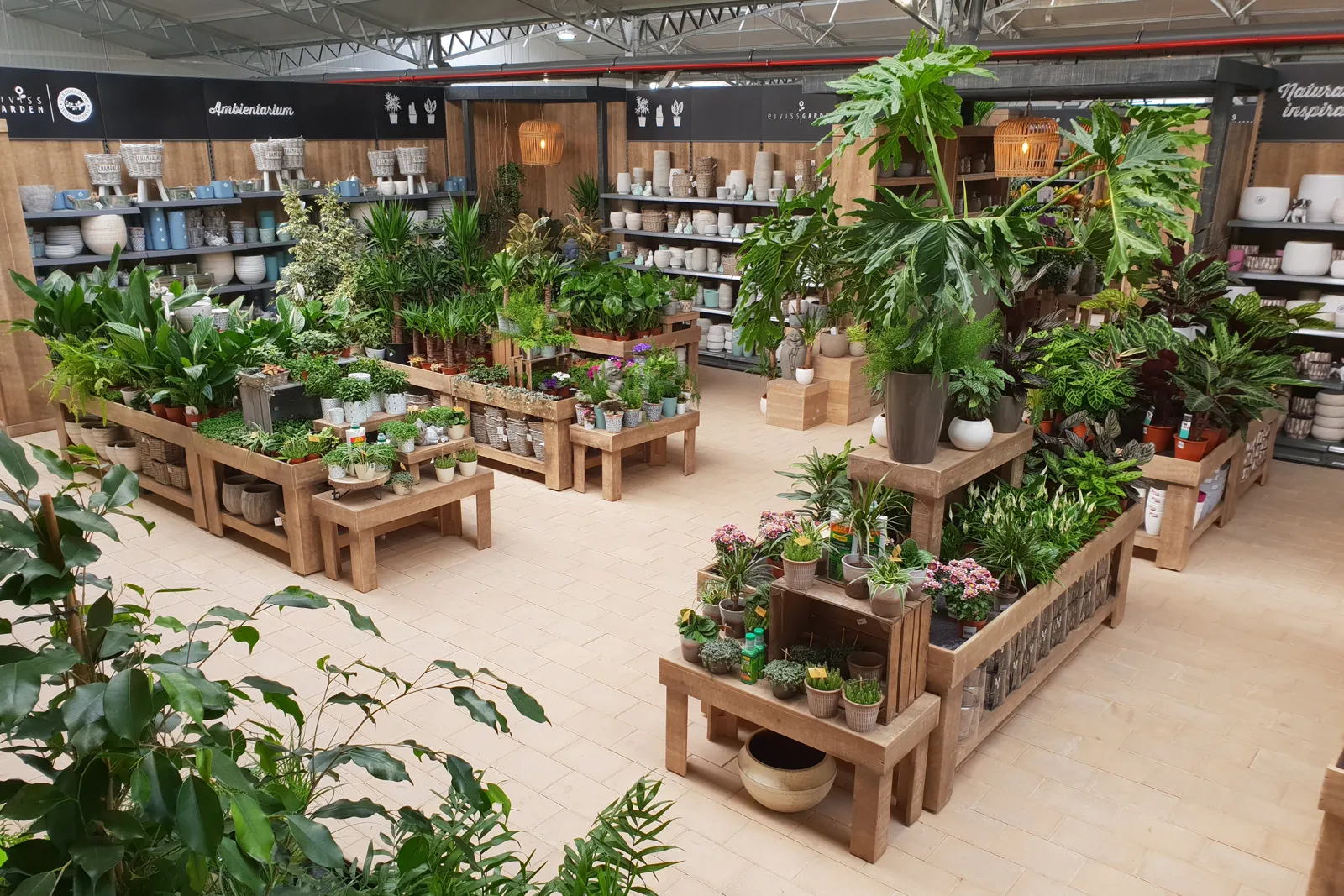 project-jardinarium-ibiza-6-1600-1067