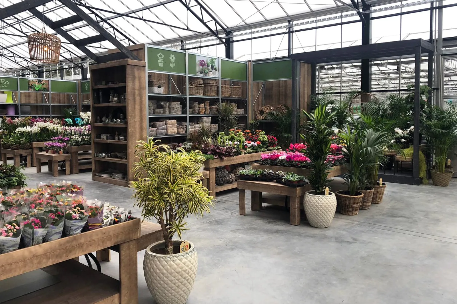 project-roie-3-1600-1067