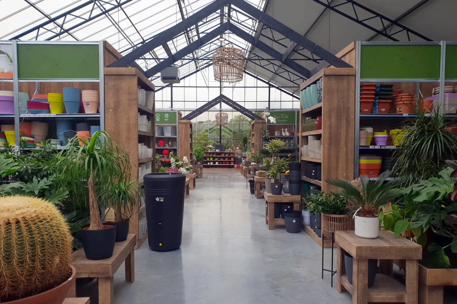 project-roie-9-1600-1067